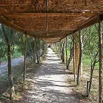 Alessidamo Trilo Metaponto