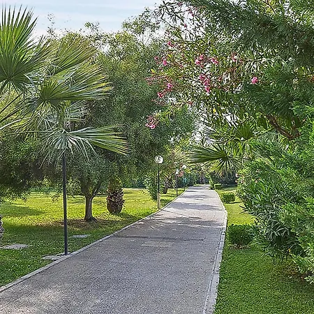 Apartament Alessidamo Trilo *