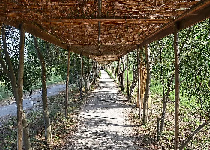 Alessidamo Trilo Metapont